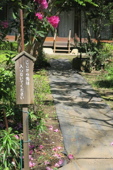 空想美術館」、今回はピエール・クロソウスキーの妖しい