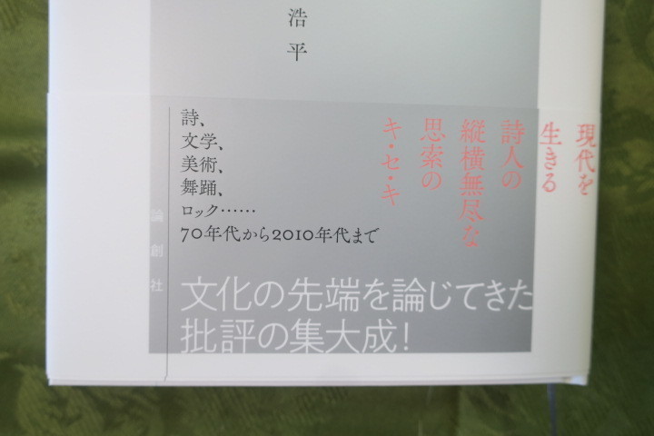 初のエッセイ＆書評集『リリカル・クライ Lyrical Cry 批評集 1983